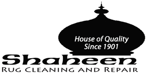 Shaheen Logo Transparent